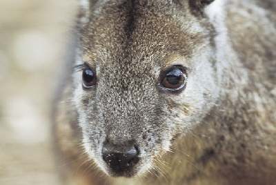 Australien Reisen