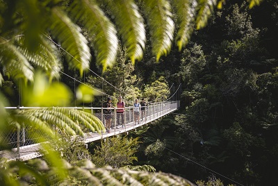 22 Tage Wandern in Neuseeland-16717_hike_bridge.jpg
