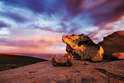 Kangaroo Island Experience