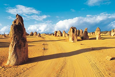 Pinnacles Day Tour