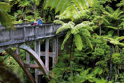 The Insider 24 Tage ab Auckland