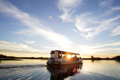 Yellow Water Cruise