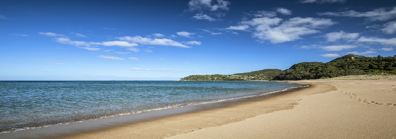 18 Tage Bed & Breakfast Tour Neuseeland 2023 - 2024 - Neuseeland