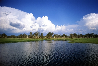 -028543-572.jpg