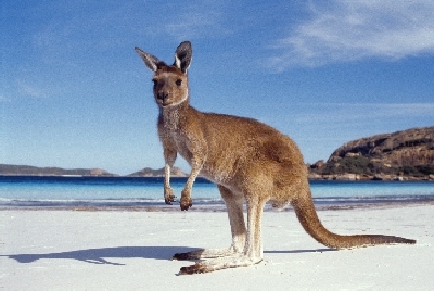 Australien Golfreisen und Golfurlaub