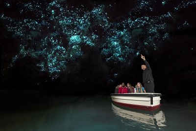 19 Tage Faszination Neuseeland - Mietwagenrundreise 2023-2024-16674_waikato_glowworm_caves.jpg