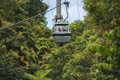 9 Tage Atherton Tablelands Rundreise 2023 - 2024-16737_TNQ_Cairns_SkyrailRainfores.jpg