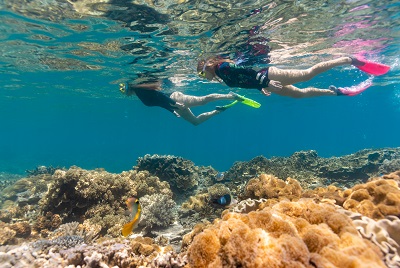 19 Tage Ostküste Mietwagenrundreise 2023 - 2024-16739_great_barrier_reef_snorkel.jpg