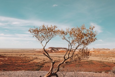The Legendary Ghan Adelaide bis Darwin-18004_theghan_6.jpg