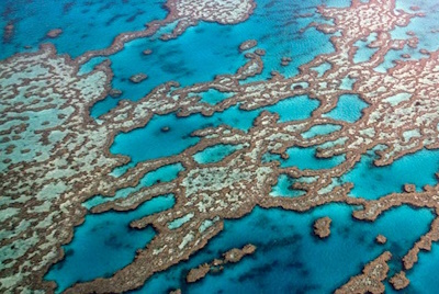 10 Tage deutschsprachige Busrundreise Ostküste Australien-18029_reef_2.jpg