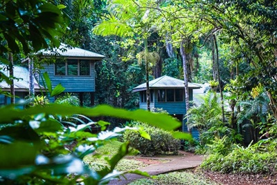-5121_ferntree-rainforest-lodge_1.jpg