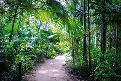 Australien Golfreisen und GolfurlaubAustralien Golfreisen und Golfurlaub