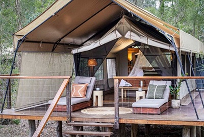 Paperbark Camp