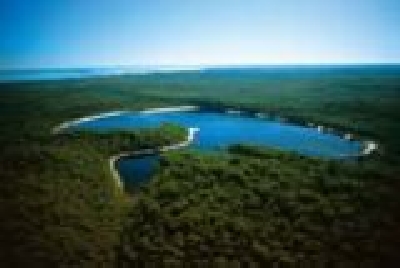 Fraser Island Lake McKenzie-Aerial_Lake_Mckenzie-Fraser_Island.jpg