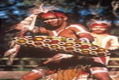 Gold Coast Currumbin Sanctuary-Danceart-Currumbin_Sanctuary.jpg