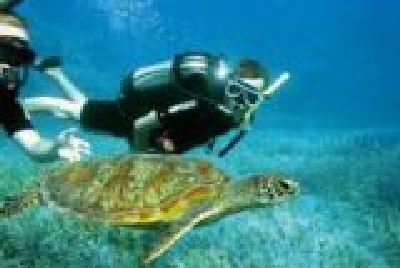 Great Barrier - the deep blue-Diver_and_Turtle.jpg