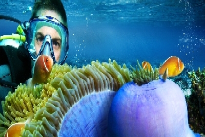 -Diving_GreatBarrierReef_QUER.jpg
