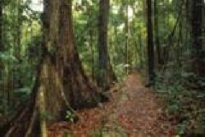 Mackay - Eungella NP-Eungella-Mackay.jpg