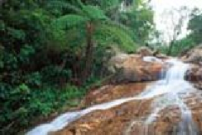 Mackay - Finch Hatton Gorge-Finch_Hatton_Gorge-Mackay.jpg