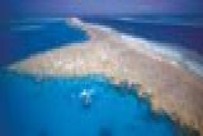 Whitsundays Hardy Reef-Key_Hardy_Reef-Whitsundays.jpg