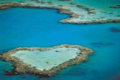 Whitsundays Heart Reef-Key_Heart_Reef-Whitsundays.jpg