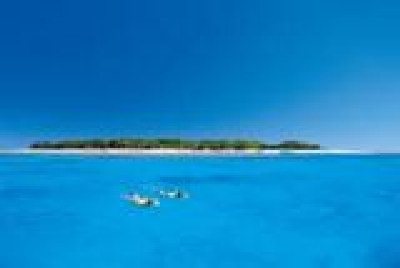Lady Musgrave Island Great Barrier Reef-Lady_Musgrave-Great_Barrier_Reef.jpg