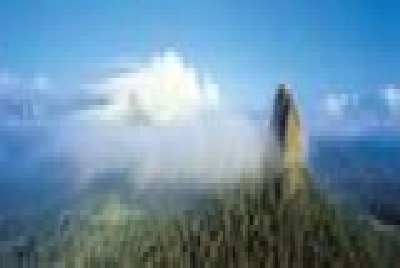 Sunshine Coast Mount Coonowrin-Mount_Coonowrin-Sunshine_Coast.jpg