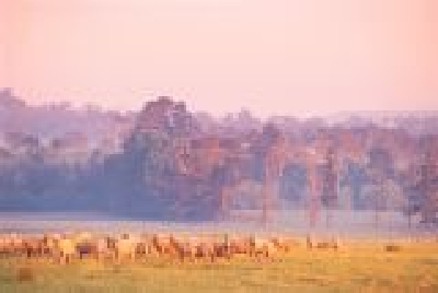 New South Wales - the big sky-NSW_BS01.jpg