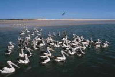 Central Coast-NSW_CC04.jpg