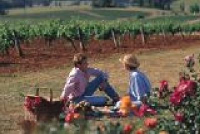 Hunter Valley-NSW_HV01.jpg