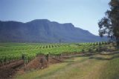 Hunter Valley-NSW_HV03.jpg