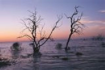 New South Wales - Outback-NSW_LO03.jpg