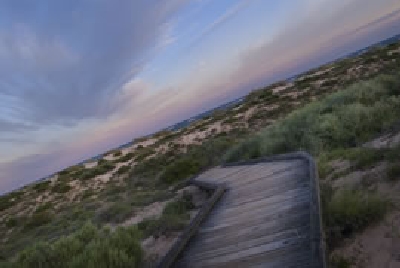 -SandDunesWalkingPath.jpg