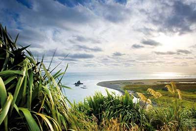 -auckland_west_tour_4.jpg