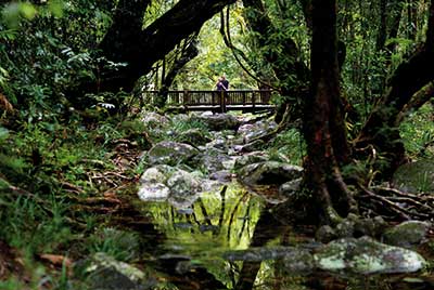 Australien Golfreisen und GolfurlaubAustralien Golfreisen und Golfurlaub