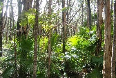Australien Golfreisen und Golfurlaub