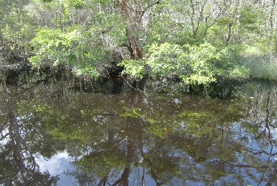 Australien Golfreisen und Golfurlaub