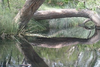 Australien Golfreisen und GolfurlaubAustralien Golfreisen und Golfurlaub