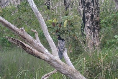 Australien Golfreisen und GolfurlaubAustralien Golfreisen und Golfurlaub