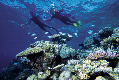 -coral_expediton_queensland_6.jpg