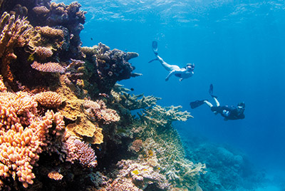 Coral Expeditions Queensland 4 Tage ab Cairns