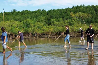 -daintree_dreaming_2.jpg