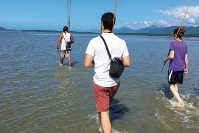 -daintree_dreaming_5.jpg
