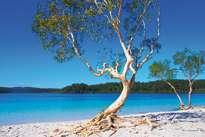 -fraser_island_discovery_group_2day_2.jpg