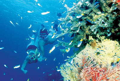Great Barrier Reef Adventures