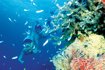 -great_barrier_reef_3.jpg