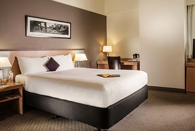 -ibis_bris_1.jpg