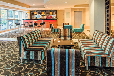 -ibis_bris_2.jpg