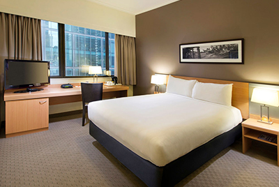 -ibis_bris_6.jpg