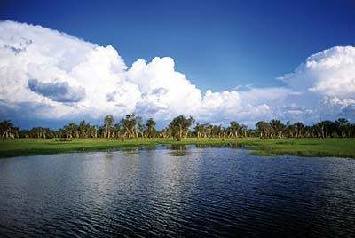 -kakadu_np_4.jpg